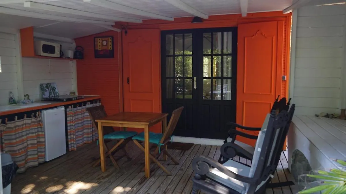 Le Grand Palm Gite Mandarine Les Bases